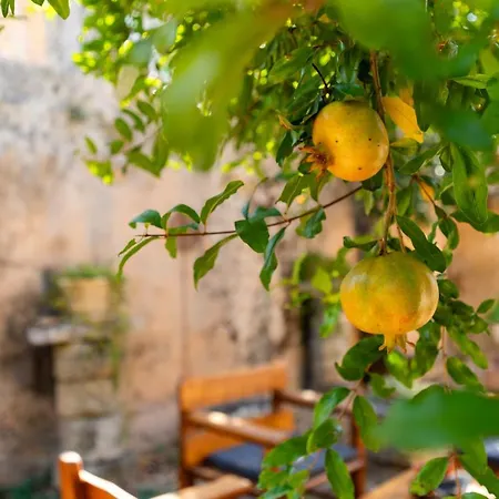 Antica Corte Dell'800 Castrignano del Capo